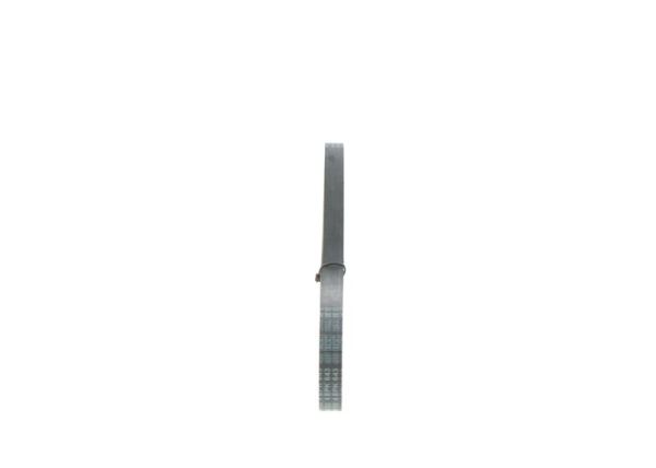BOSCH 1987946123 | V Kayışı Astra.J-Insignia 1.6 *A16xer*