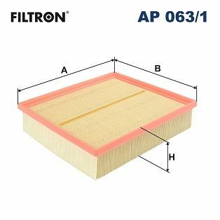 FILTRON AP063-1 | Hava Filtresi 96-05 Passat
