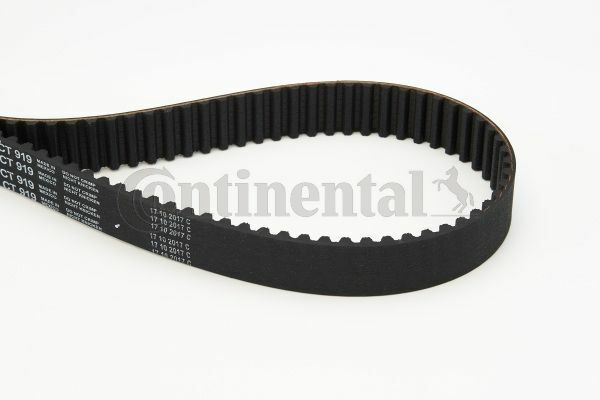 CONTINENTAL CTAM CT919 | Triger Kayışı 97-01 Passat 1.8T